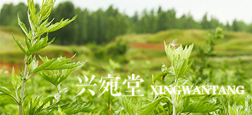 艾条的使用方法和注意事项有哪些？